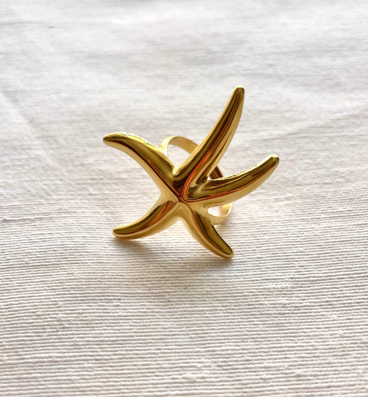 ANILLO SIMBA