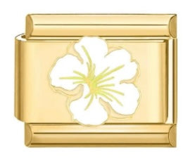 Flor hawaiana