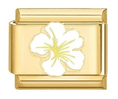 Flor hawaiana