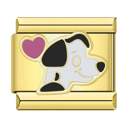Dalmata
