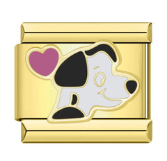 Dalmata